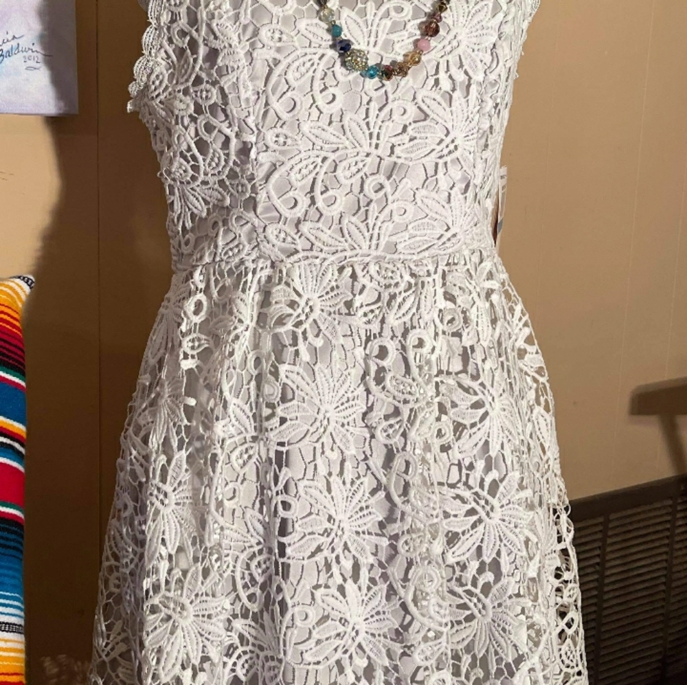 Amazing Lace Cocktail Skater Style Dress